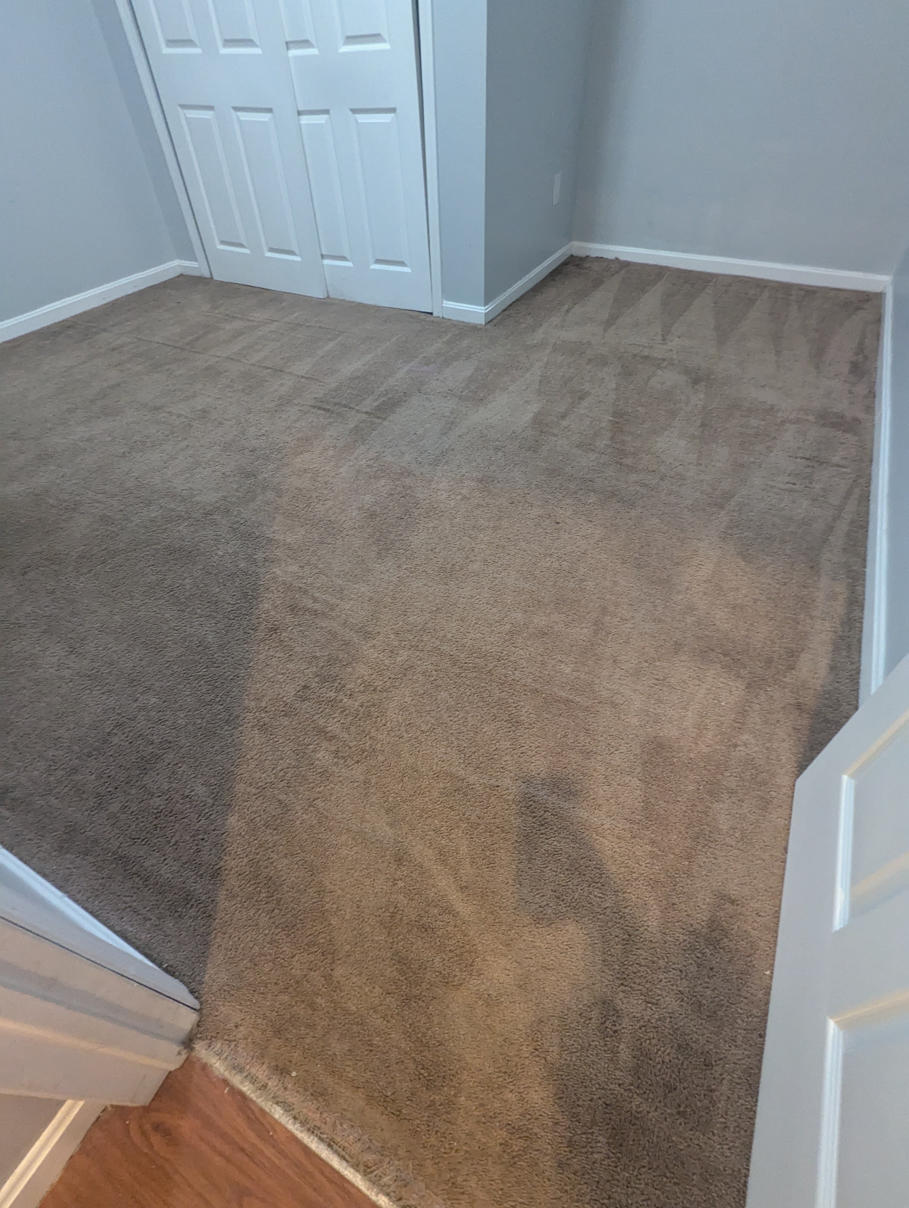 Pristine carpet after YassClean